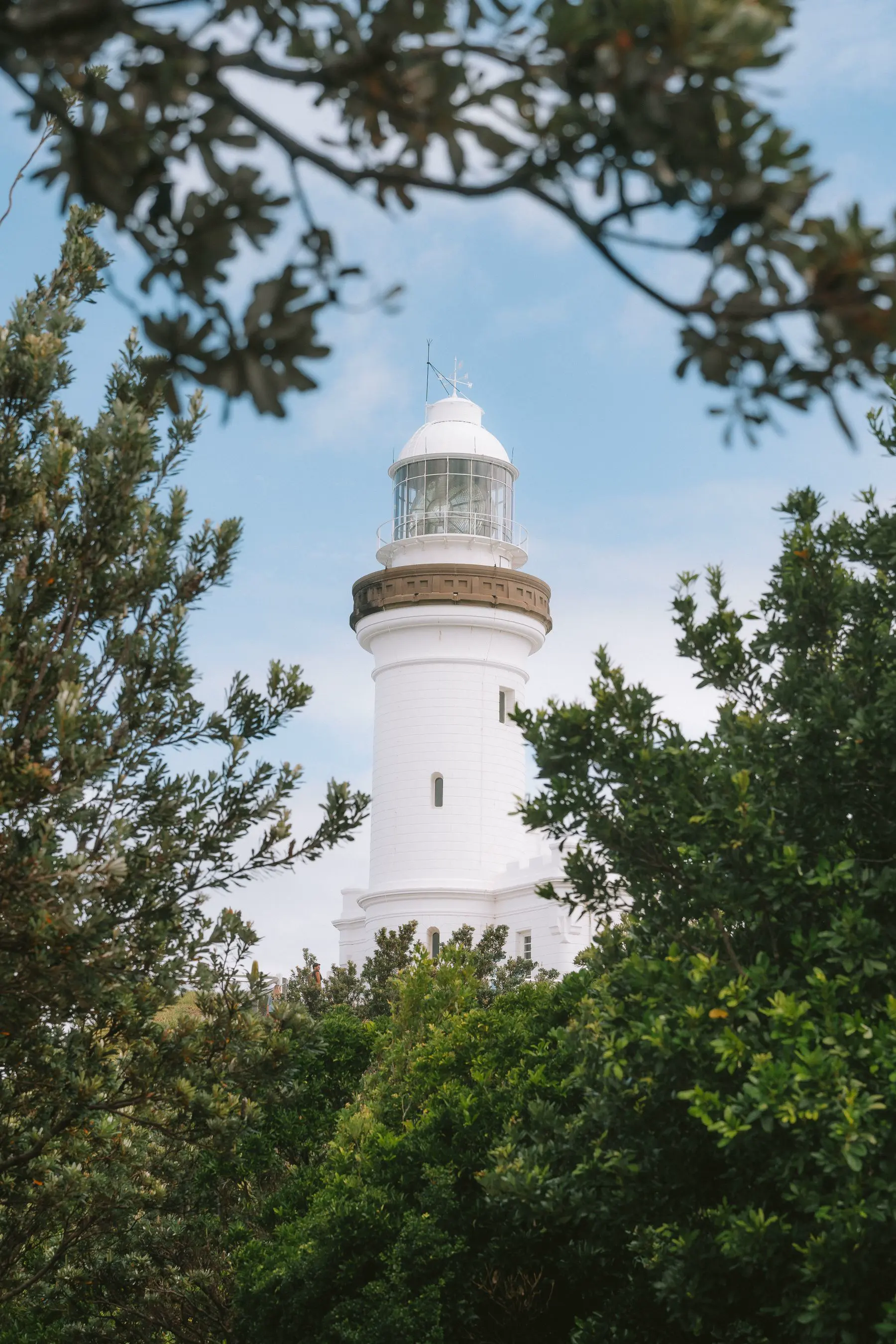 Cape Byron lighthouse seen through coastal trees